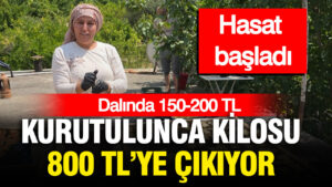 haber-gorseli-1786463364168